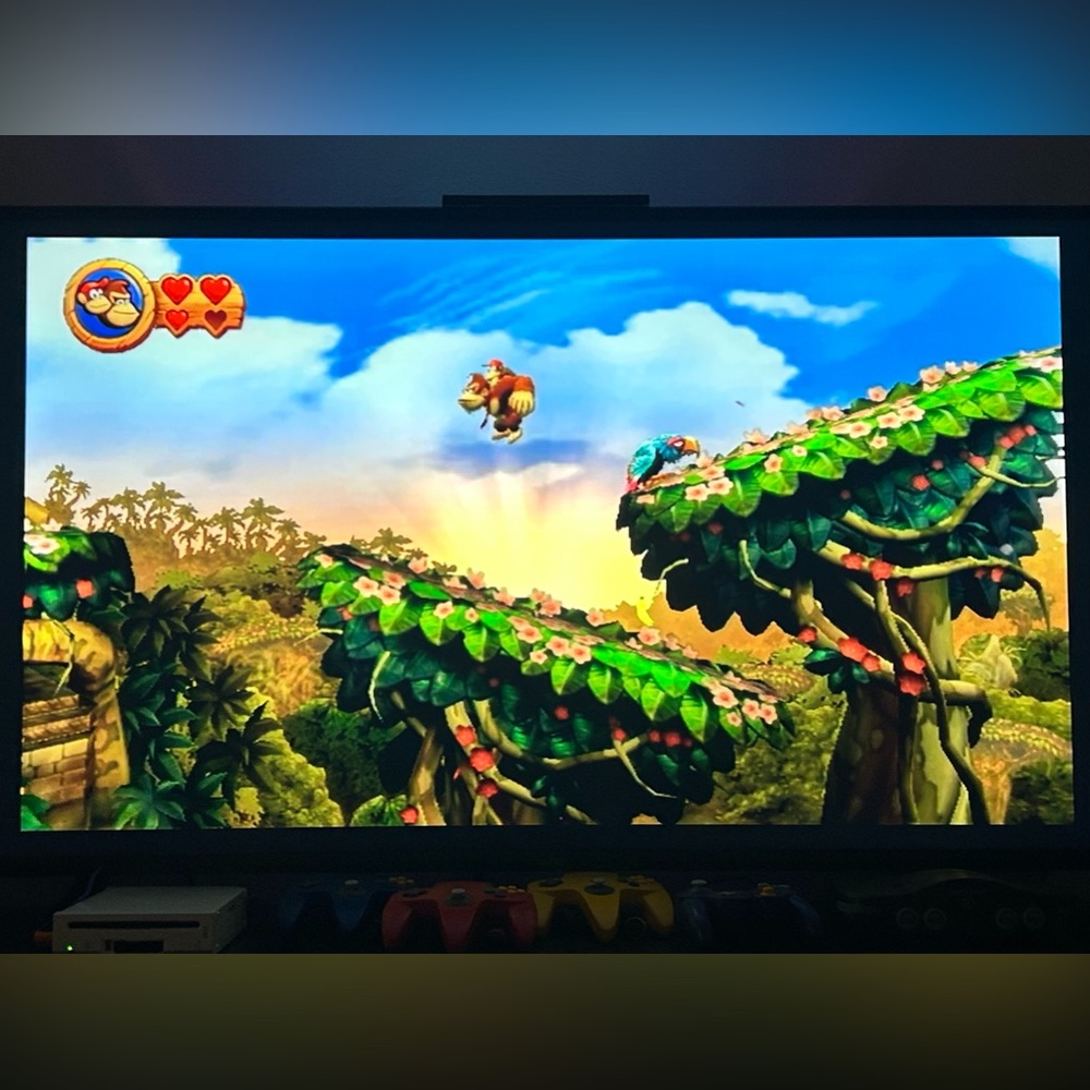 Modded Wii & Retro Game Library